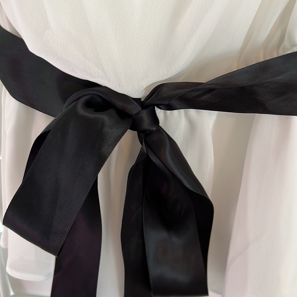Special Occasion Blouse - Picture 3 of 7